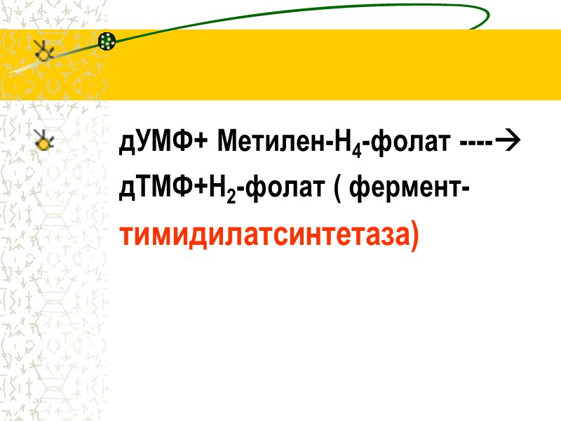 дУМФ+ Метилен-Н4-фолат ----           
